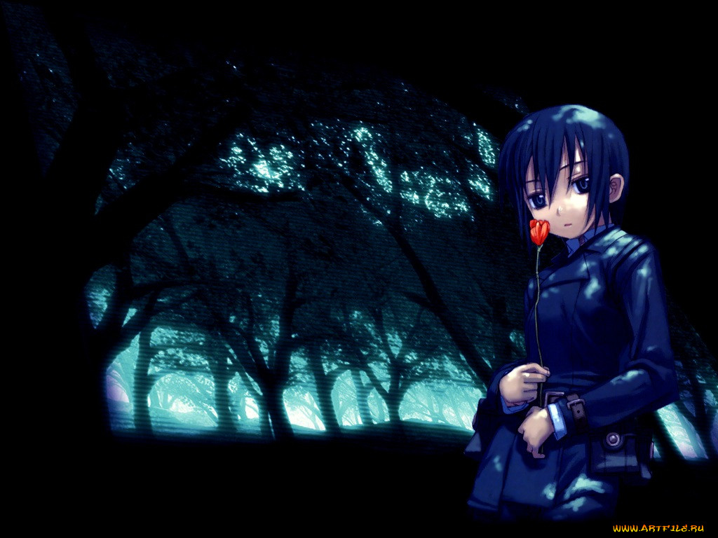 , kino, no, tabi